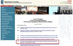 香港示威者嚴重違反國際公約-上海空運