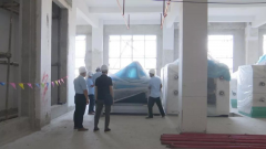 迪拜空運洋浦：加快建設國際糧油物流加工產業園