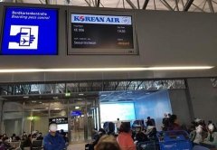 寧波國際快遞-法蘭克福機場兩架飛機相撞 后續航班延誤21小時