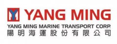 土耳其的空運-剛剛！陽明海運宣布成立中國區子公司，2020年1月1日起正式營運