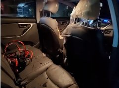 澳大利亞國(guó)際快遞-美國(guó)阿拉斯加機(jī)場(chǎng)熊出沒(méi) 居民：防賊不如防熊