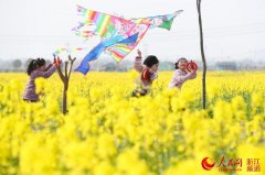 紐約國際空運-物流網絡——科學調度不誤生產